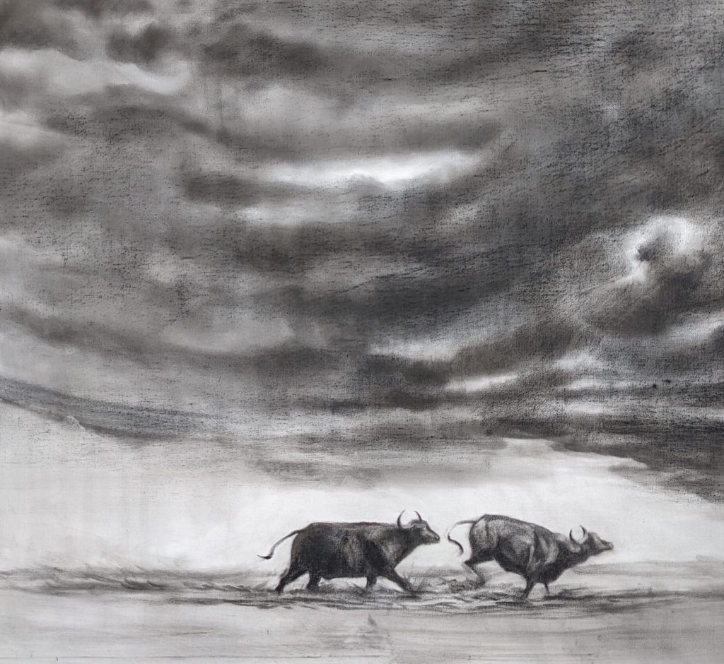 Debashree-Mavani_Faith_ Charcoal-on-canvas_24x30_2023